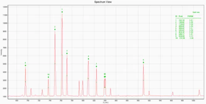 Tungsten  Halogen Lamp Spectrum